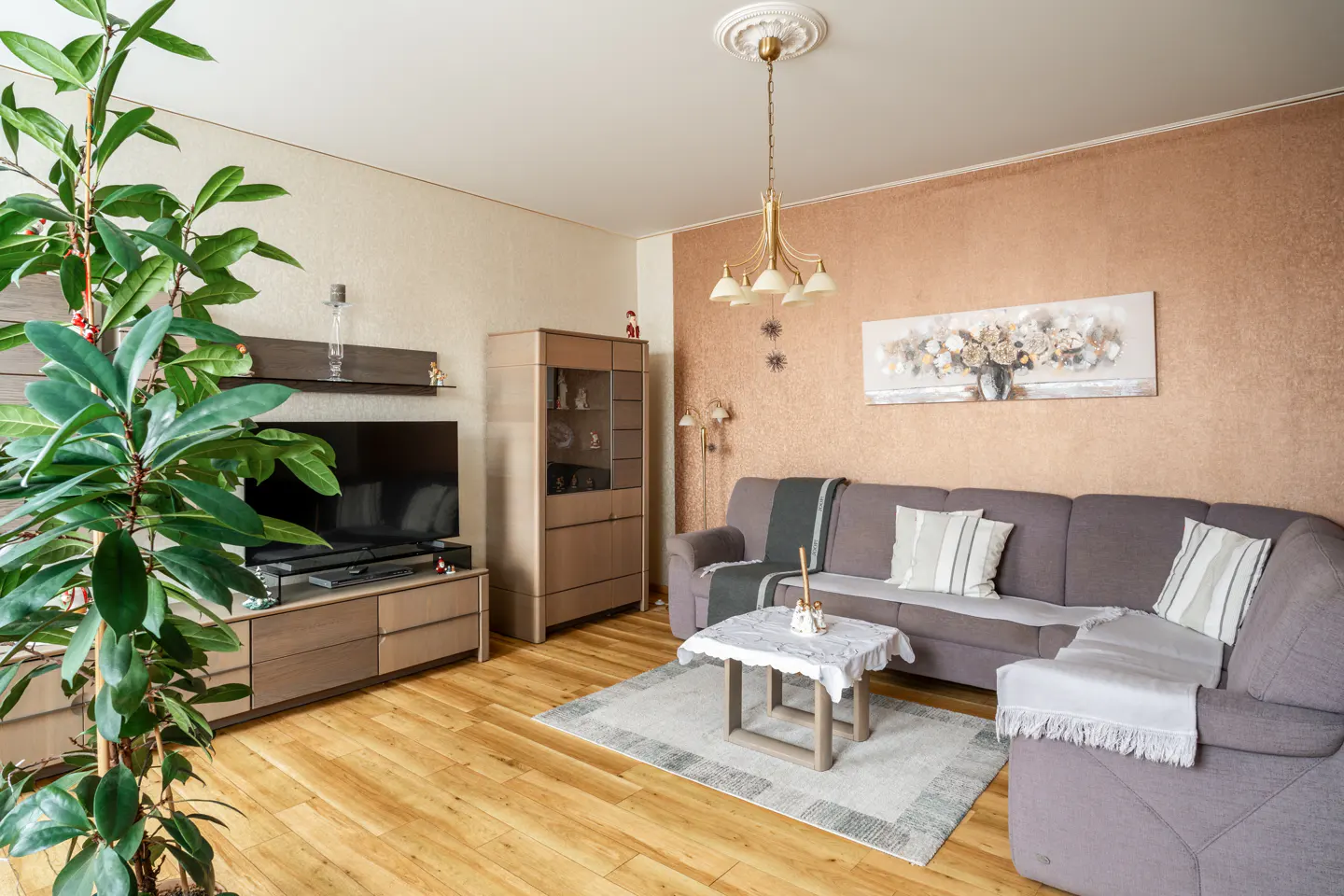 Living room with hardwood floors, a gray sectional sofa, and a large green plant in the foreground. A TV and cabinet are against the wall.
