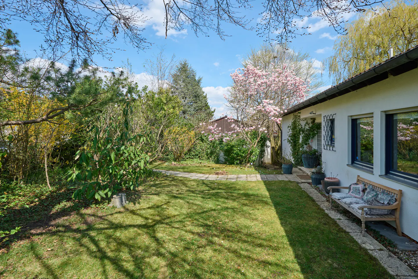 Lush green lawn and garden with a white house. A bench sits near the house with blue-trimmed windows. A pink flowering tree is in bloom.