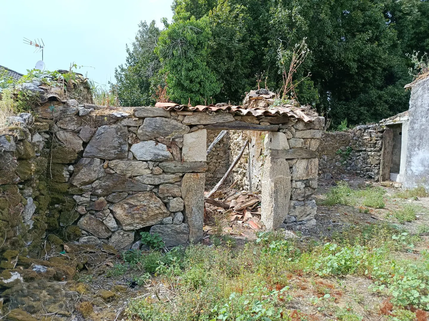 Exterior view of a stone ruin with a partial roof and doorway, surrounded by green vegetation.