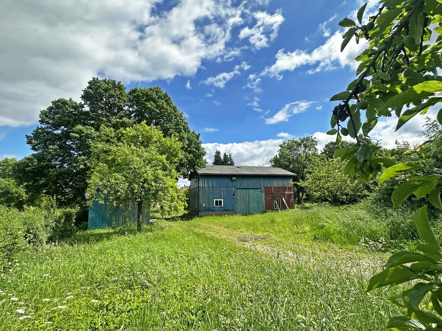 A weathered blue barn sits in a grassy field under a bright blue sky with fluffy white clouds, surrounded by lush trees.