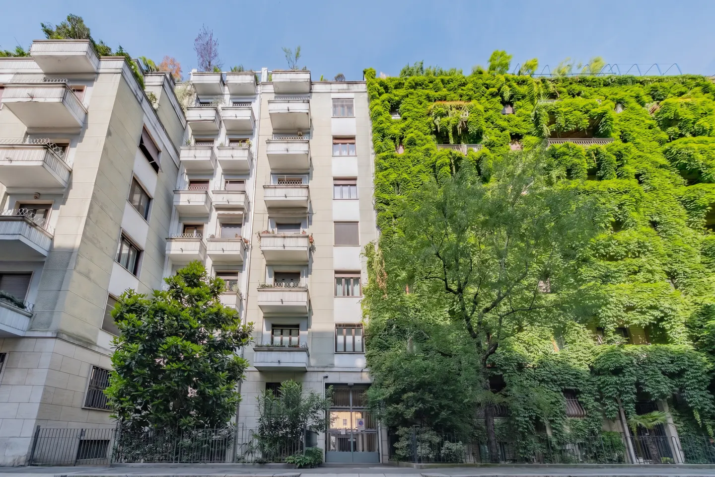 Apartment building with balconies, one side covered in green vines. Trees in front. Blue sky.