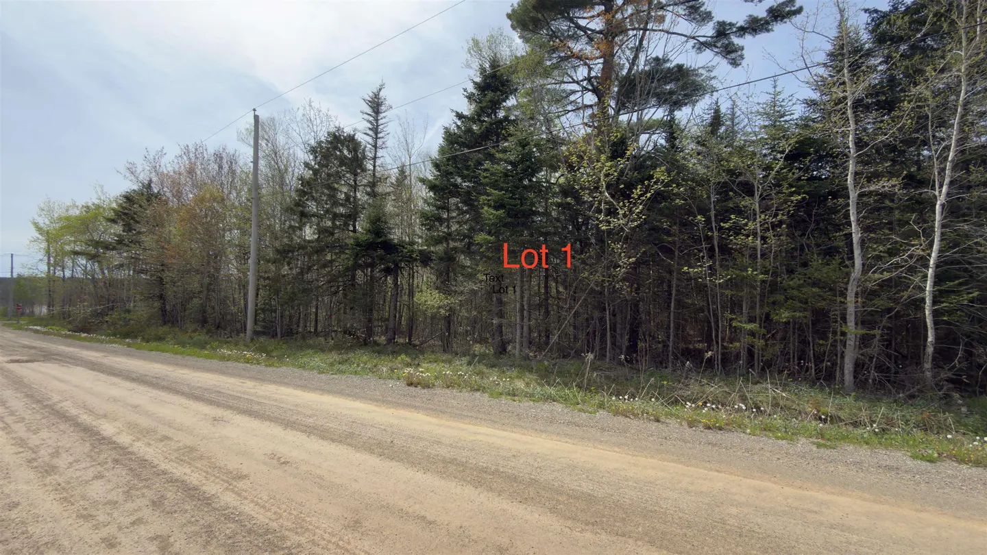 View of Lot 1, a wooded property with tall trees, next to a dirt road under a cloudy sky.