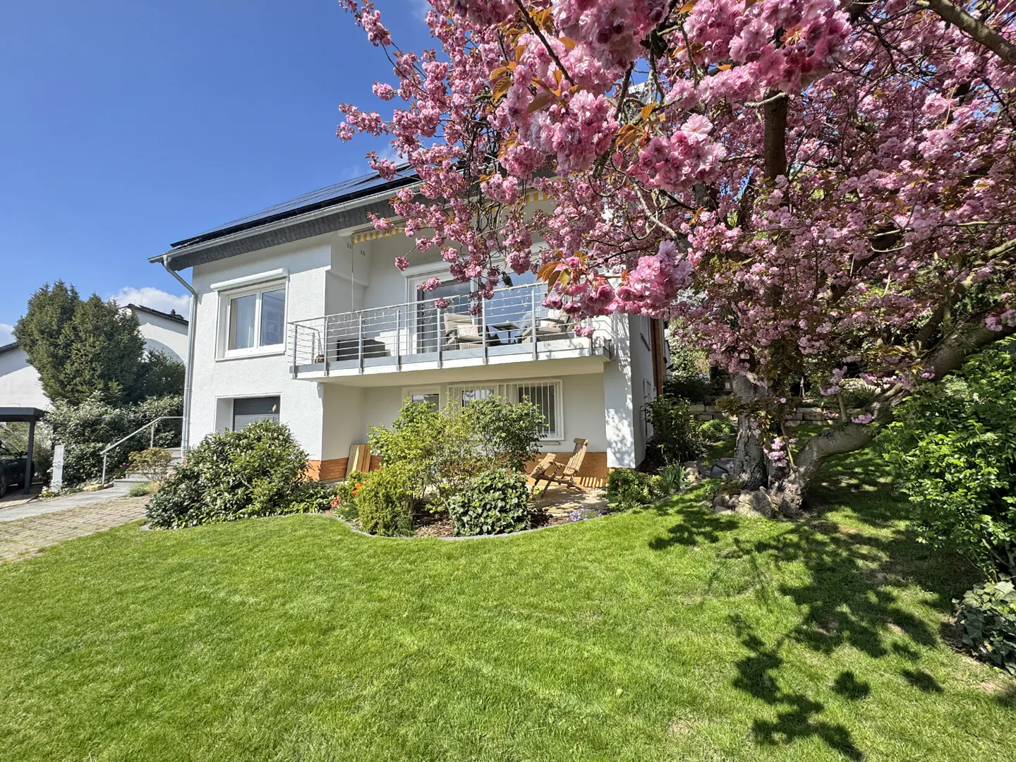 A two-story white house with a balcony, green lawn, and a large cherry blossom tree in full bloom.