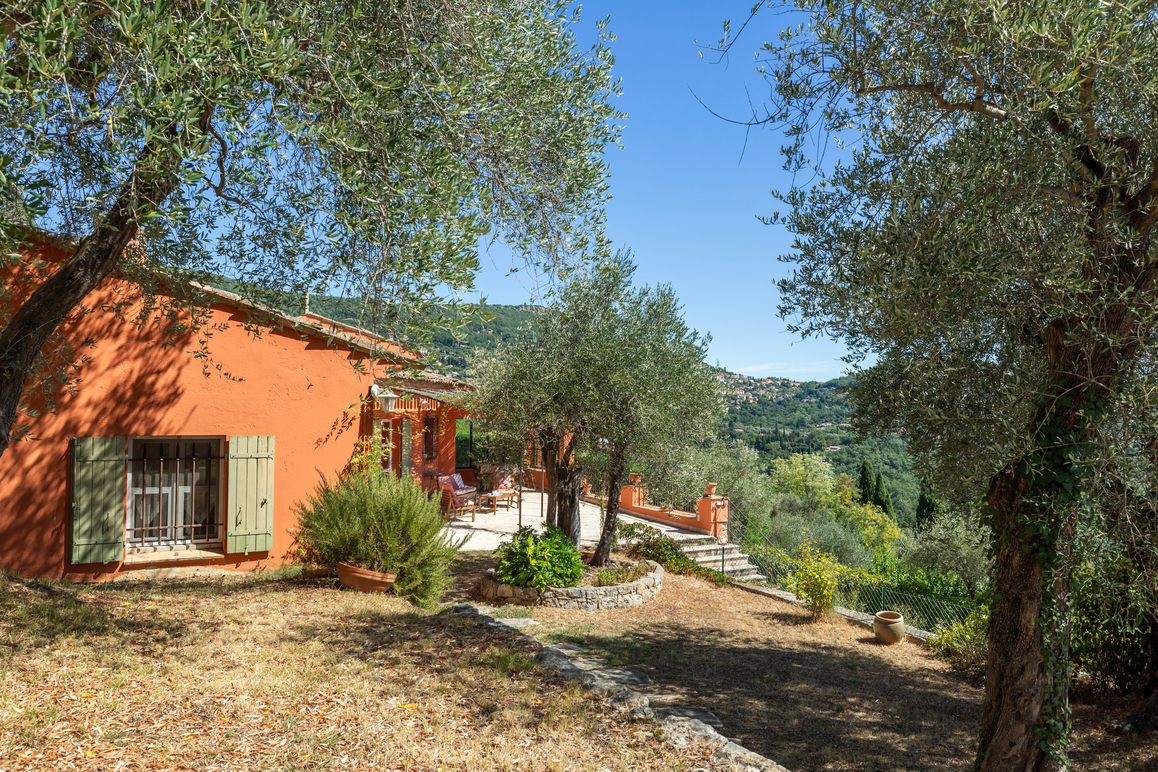 Estate on large plot with olive trees, pool, and outbuilding