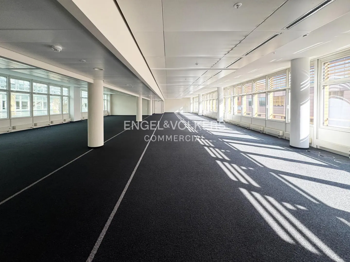 Bright, empty office space with black carpet, white walls, and large windows. Sunlight streams in, casting shadows on the floor.
