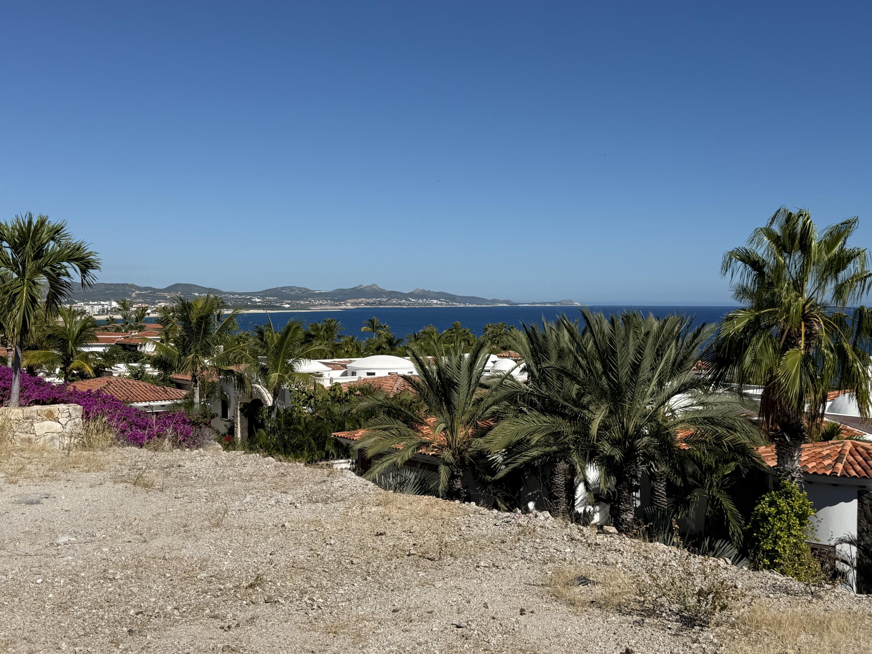 Caleta Loma 91 Palmilla