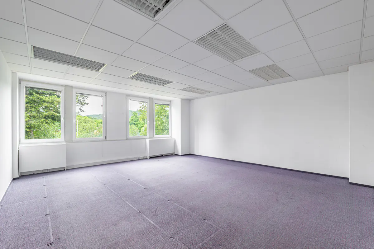 Empty office space with purple carpet, white walls, and a white tiled ceiling with fluorescent lights. Windows show green trees outside.