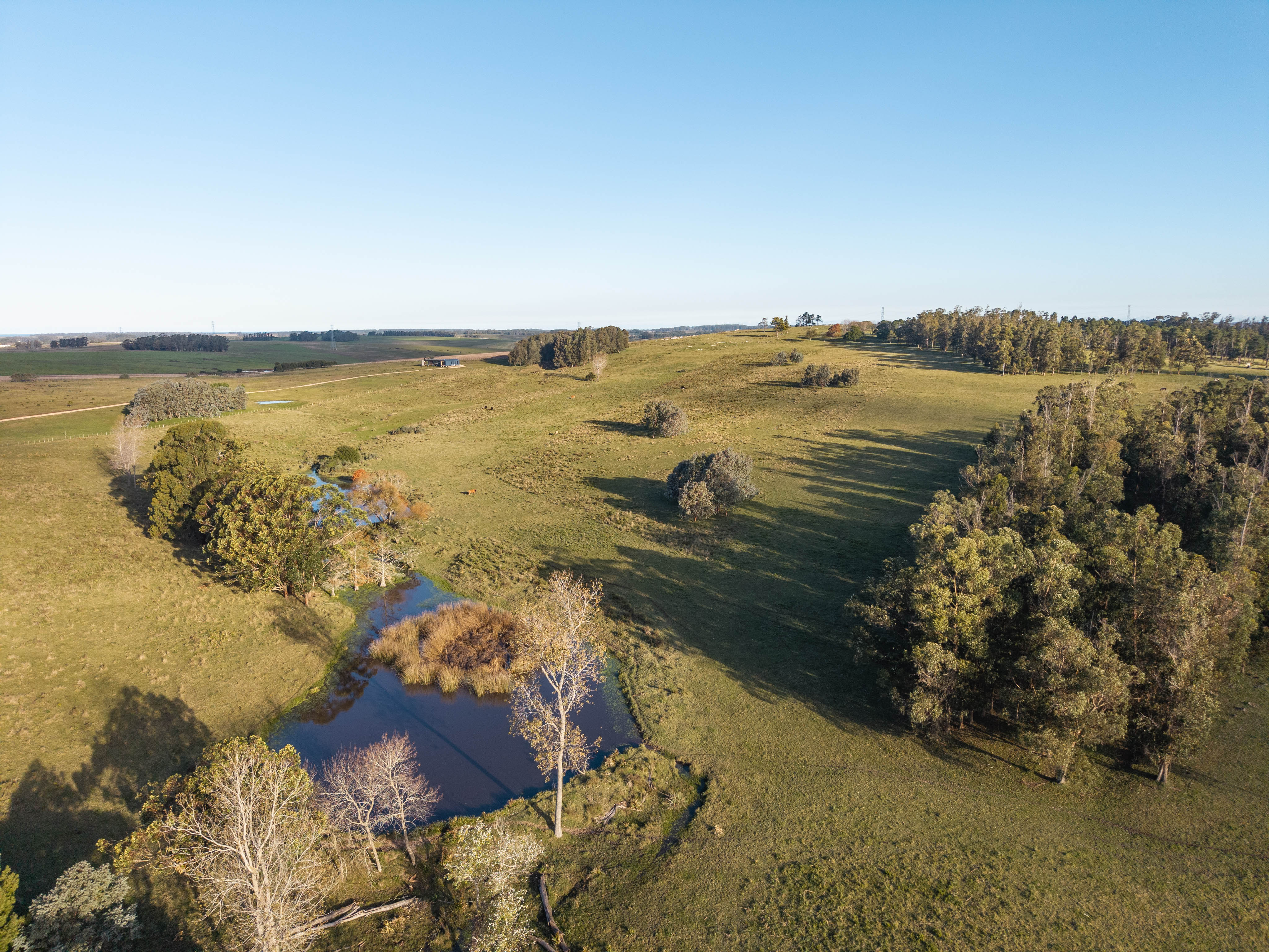 97 hectares Ranch with urban potential on Ruta 104