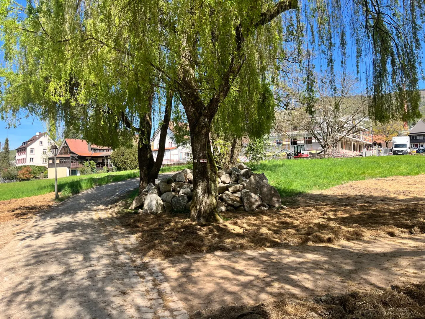 Lush green trees shade a dirt path lined with rocks. Houses and construction are visible in the background.