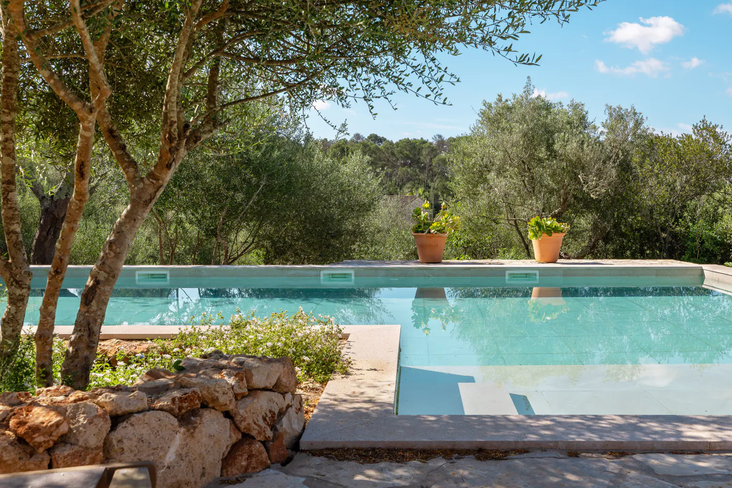 A tranquil pool with clear blue water, framed by trees and greenery, under a bright sky. Two potted plants sit on the pool's edge.