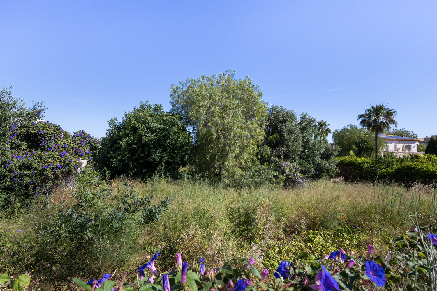 1056 m2 großes Baugrundstück mit zentralem Meerblick