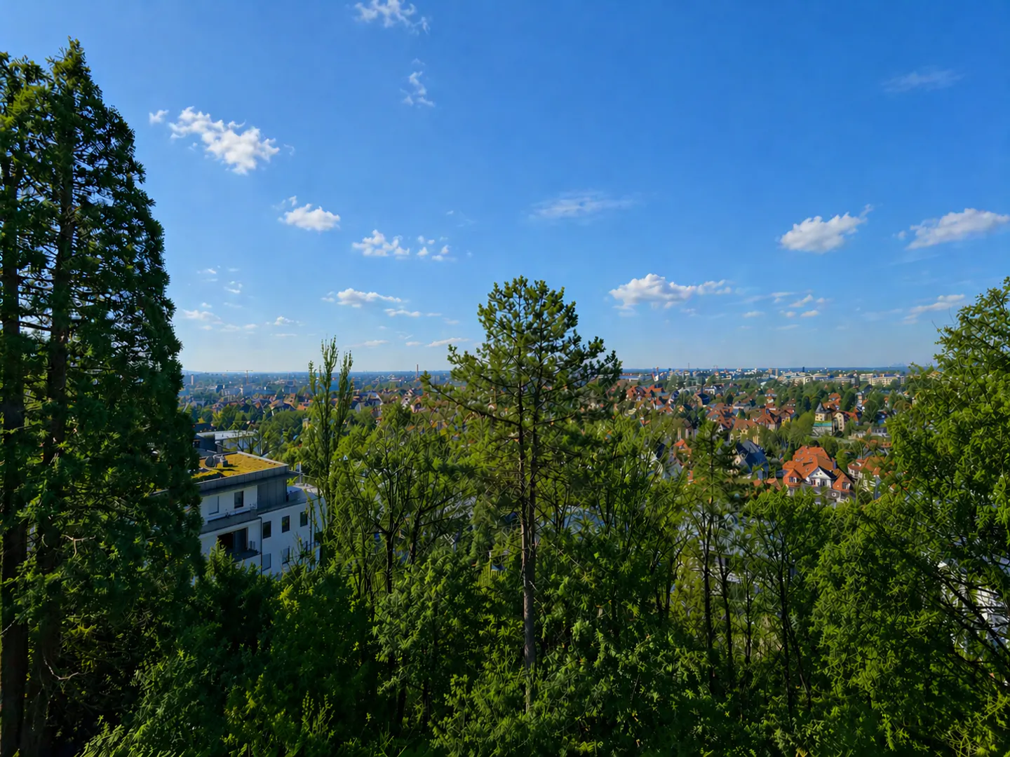 View of a city skyline with red-roofed buildings, seen through green trees under a blue sky with scattered clouds.