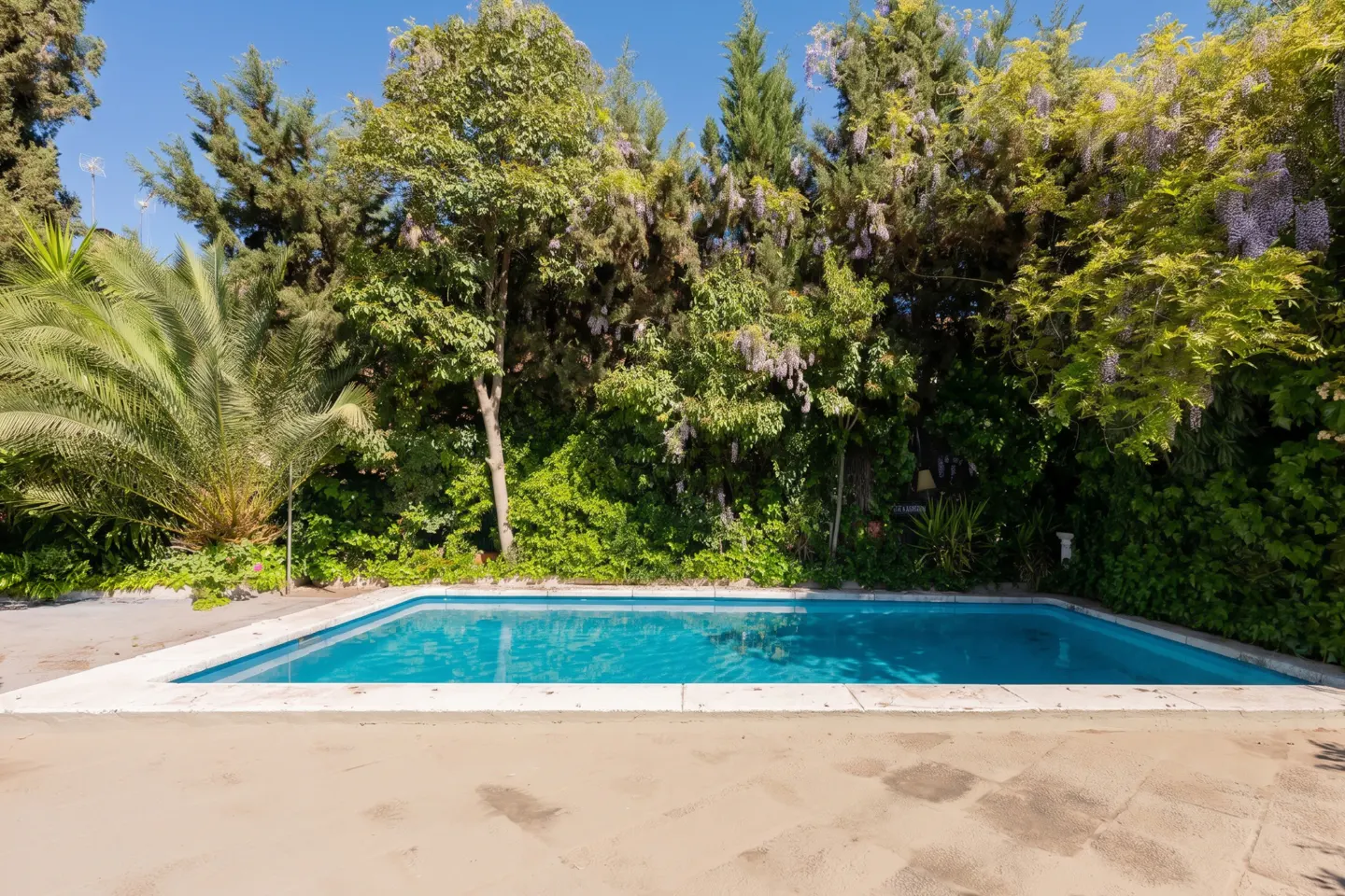 A rectangular swimming pool with turquoise water, surrounded by lush green trees and plants.