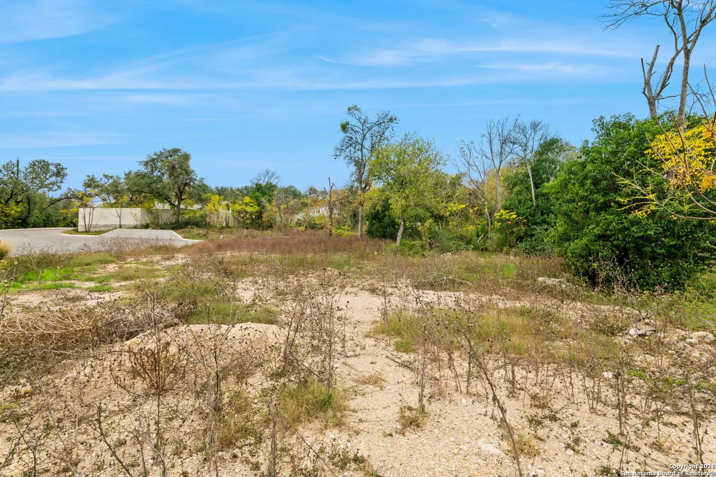 Vacant lot with dry grass and trees under a blue sky. A concrete wall is visible in the background.