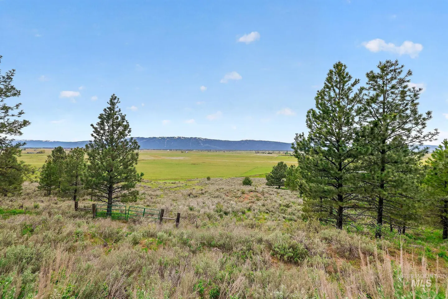 Scenic view of a green meadow with trees, a fence, and mountains under a blue sky.