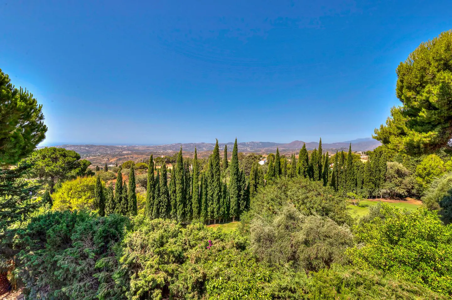 Scenic view of lush green trees and rolling hills under a clear blue sky. Tall, slender cypress trees stand among the varied foliage.