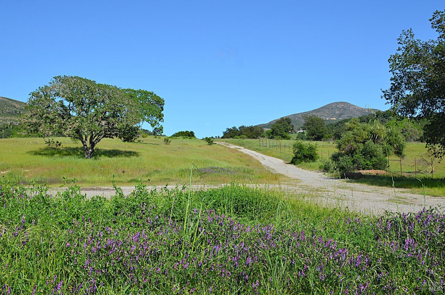 Discover Your Vision Near Silverado Country Club