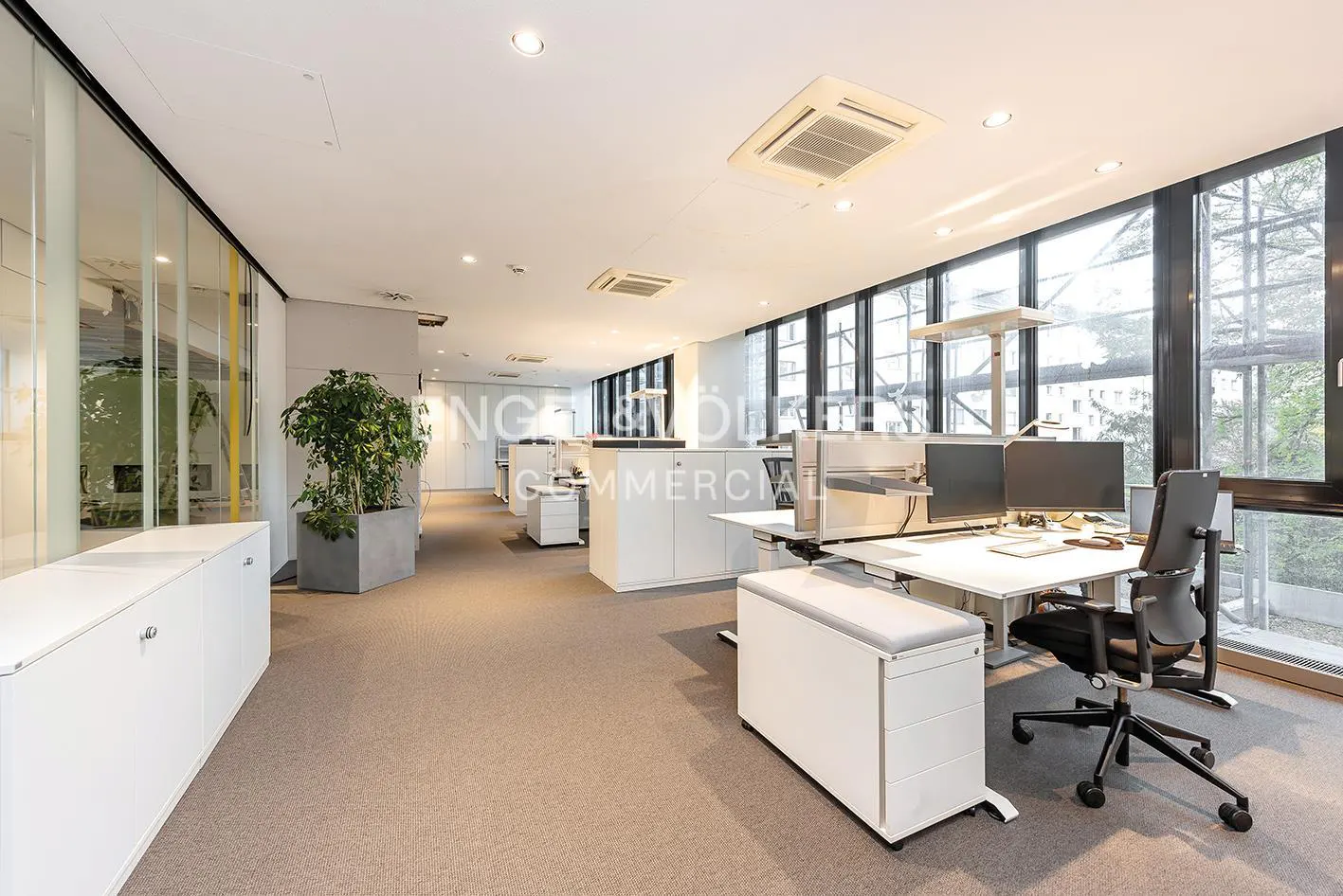 Bright office space with white desks, black chairs, and large windows. A potted plant adds a touch of greenery.