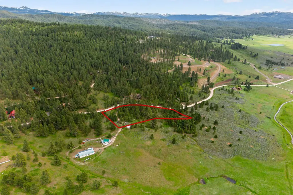 Aerial view of a wooded property outlined in red, with mountains in the background.