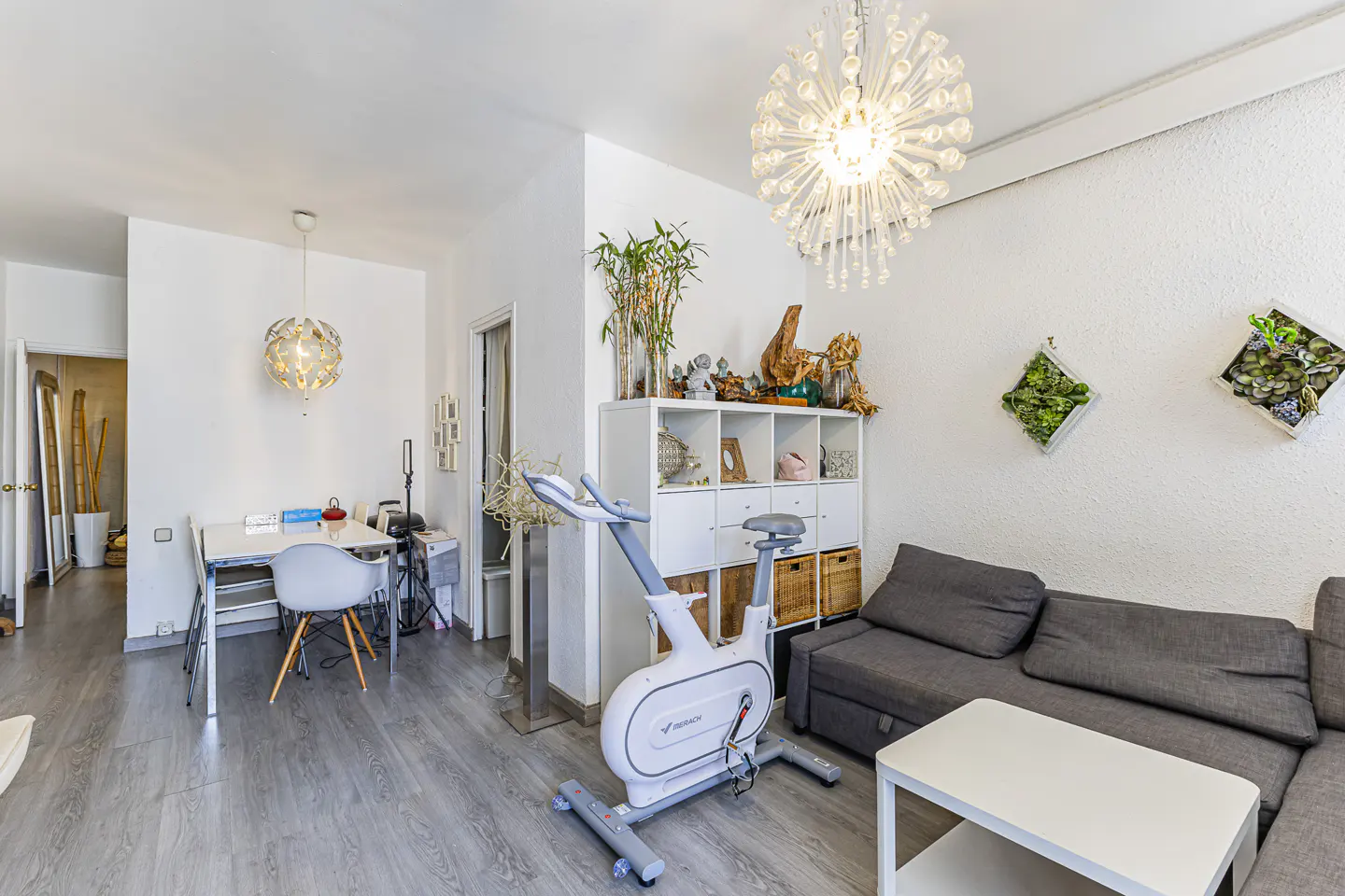 Bright living room with gray wood floors, white walls, and modern decor. A stationary bike sits near a gray sofa and white shelving unit.