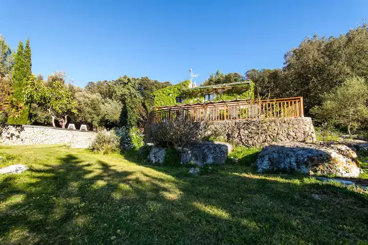 Exterior view of a house with a stone foundation and a wooden deck, covered in green vines, surrounded by trees and grass.