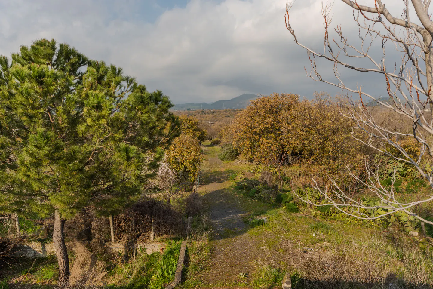 A dirt path leads through trees and brush, with mountains visible in the distance under a cloudy sky.