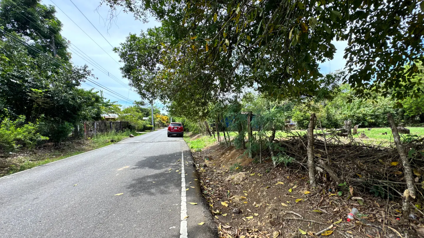 A paved road leads to a red car parked on the side, with trees and a rustic fence bordering a grassy area.