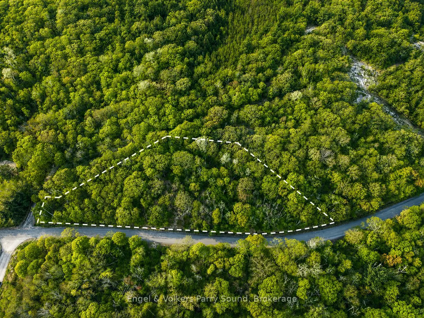 Aerial view of a wooded lot outlined in white, next to a road. Green trees cover the landscape.
