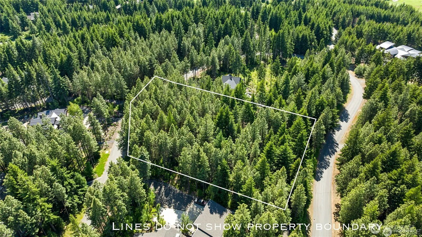 Aerial view of a wooded property outlined in white, surrounded by dense green trees and a winding road.
