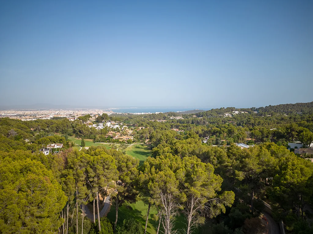 Flat sea view plot with license in Son Vida