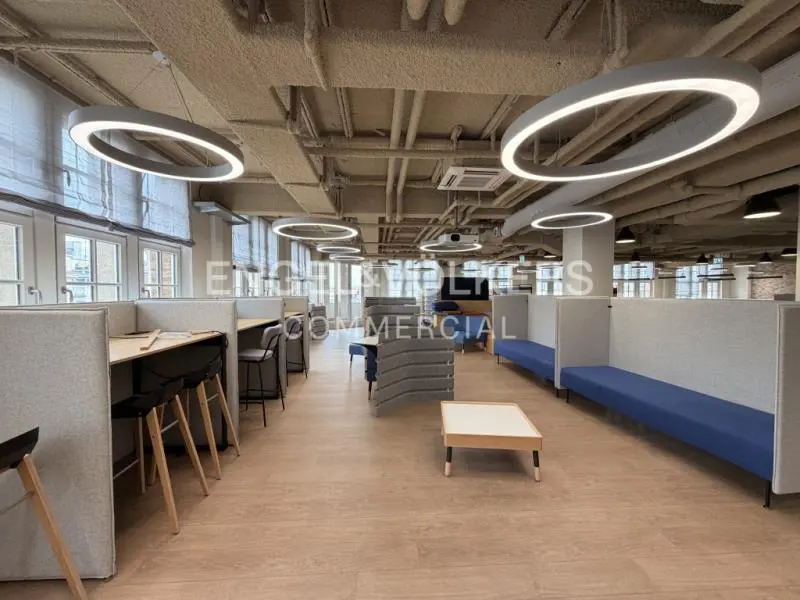 Modern open-plan office with light wood floors, grey acoustic partitions, blue bench seating, and circular pendant lights.