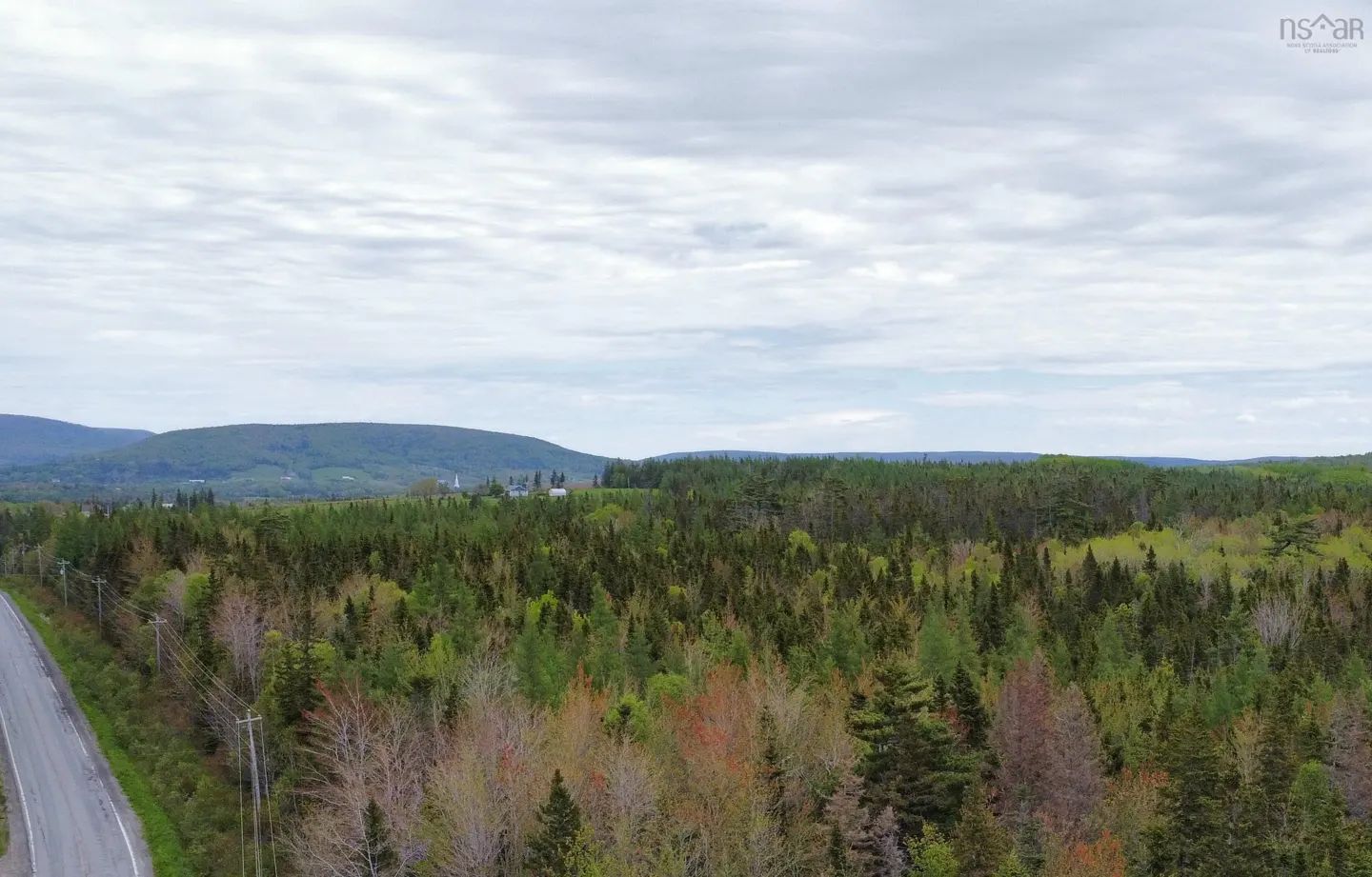 Aerial view of a paved road bordering a vast, dense forest with rolling hills and a cloudy sky in the background.
