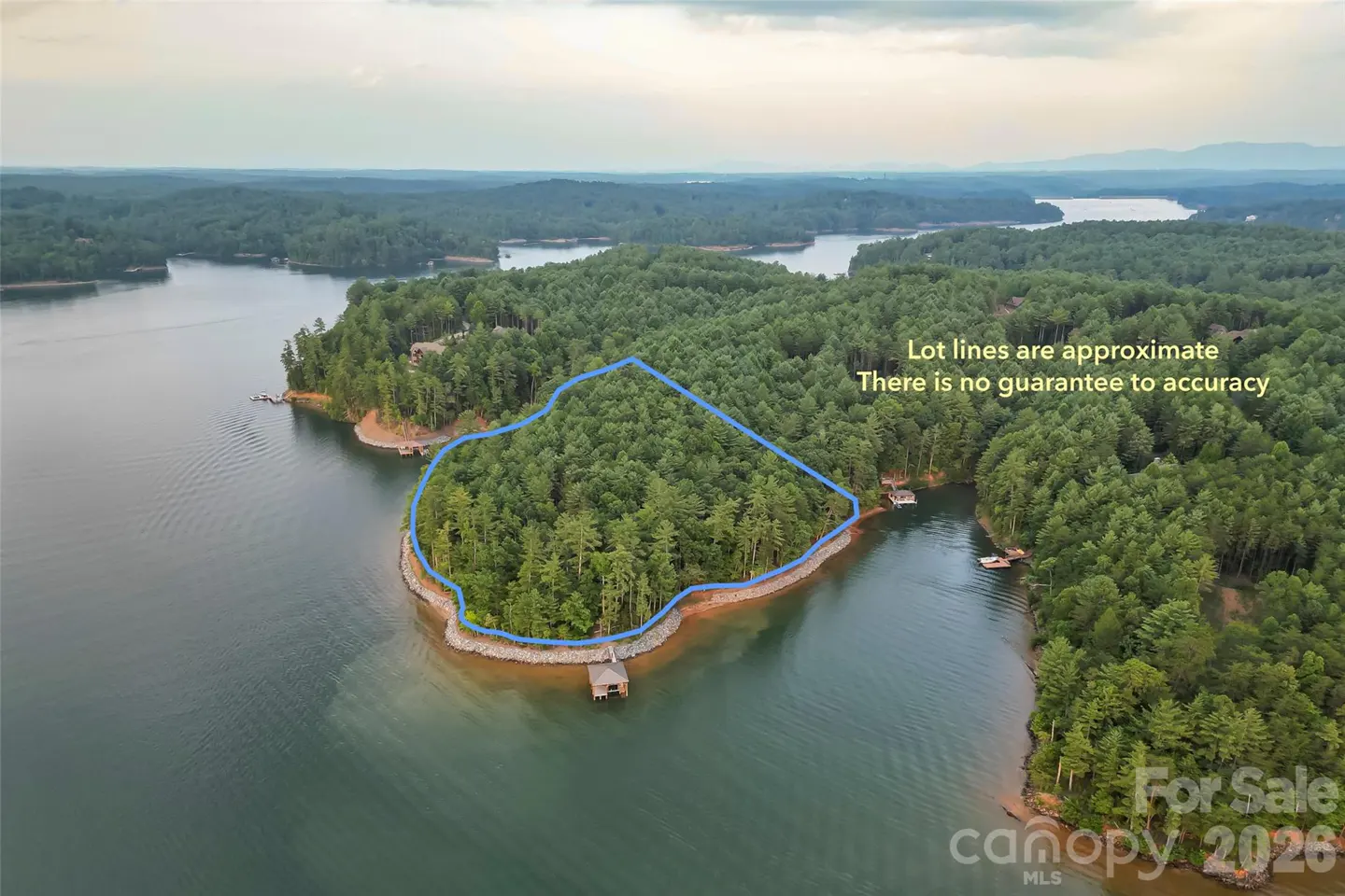 Aerial view of a wooded lot on a lake, outlined in blue, with docks and surrounding trees.