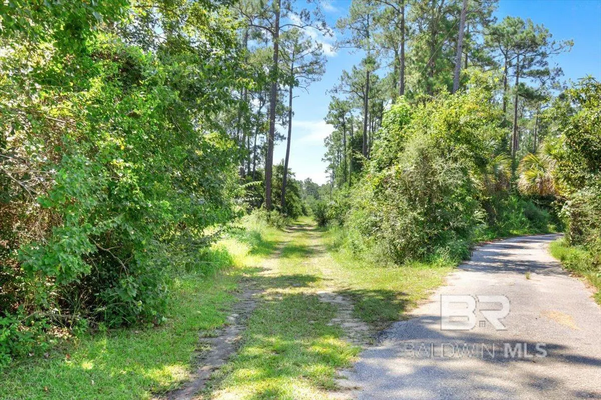 A paved road curves right, leading past a grassy, tree-lined path into a sunny, wooded area under a clear blue sky.
