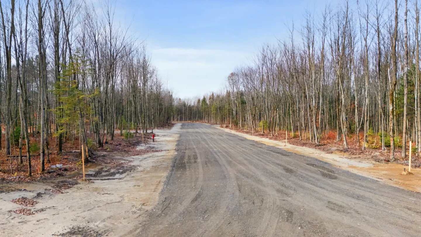 Gravel road leading through a wooded area with bare trees under a blue sky.