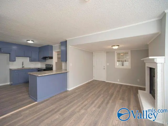 Open-concept kitchen and living room with gray wood floors, blue cabinets, and a white fireplace.