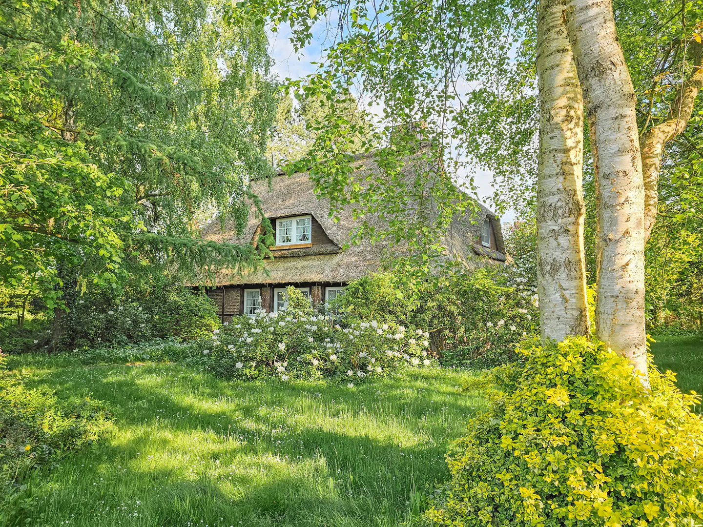 Charming thatched-roof cottage nestled among lush greenery, with white flowers and birch trees in the foreground.