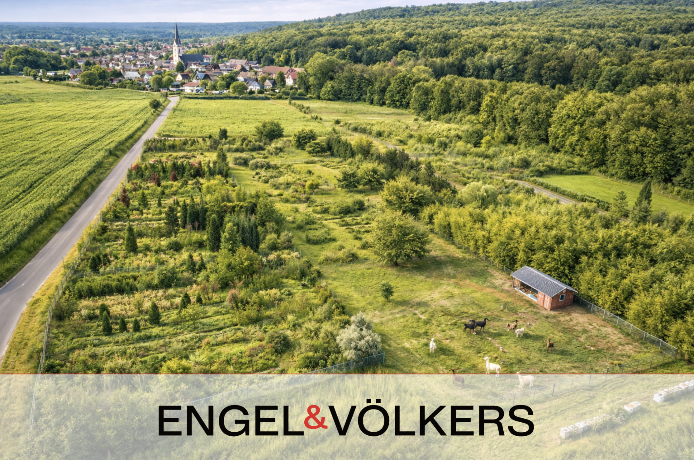 Großzügiges Natur-Areal - Ideal für Straußenfarm, Tierhaltung oder Gartenbau  – bis 31.000 m² zwischen Rödermark-Uberach und Messel