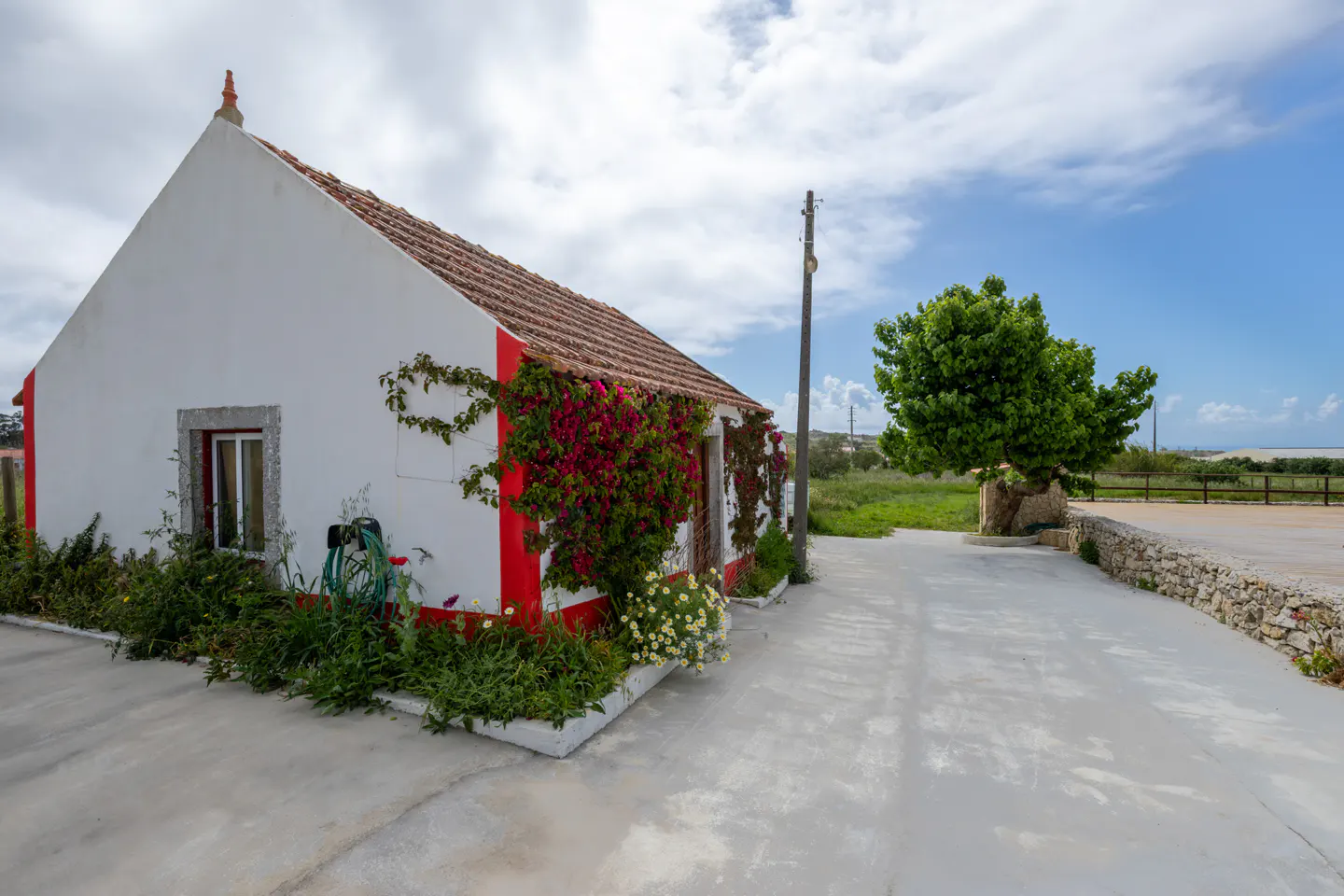 A small, white house with red trim and a red tile roof is covered in flowering vines. A tree and stone wall are nearby.