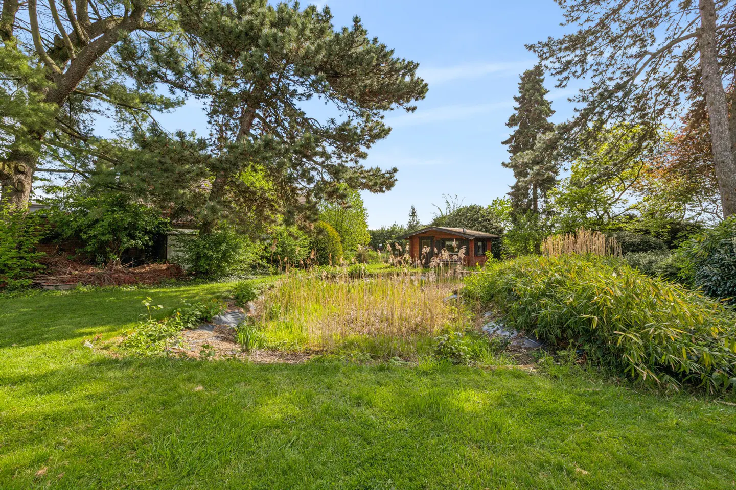 Lush green lawn with trees and a small wooden shed in the background under a blue sky.