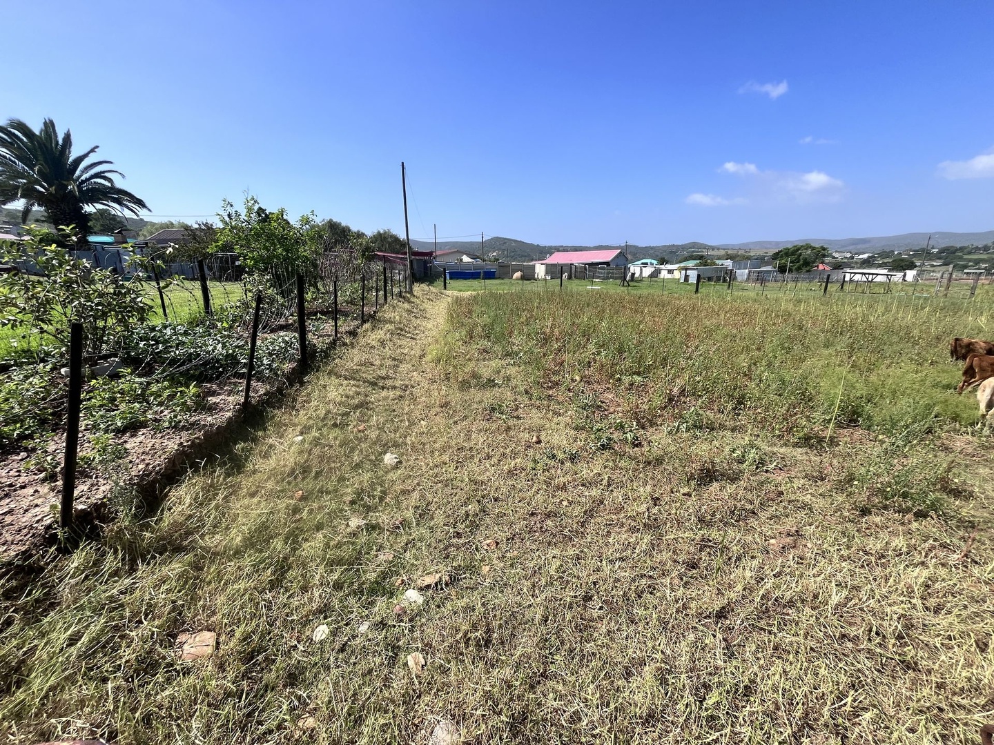Plot with Development or Grazing Opportunities  for sale in Brandwag