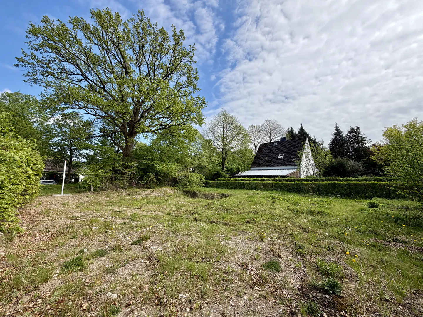 Vacant lot with grass and trees under a blue sky with clouds. A white house with a black roof is in the background.