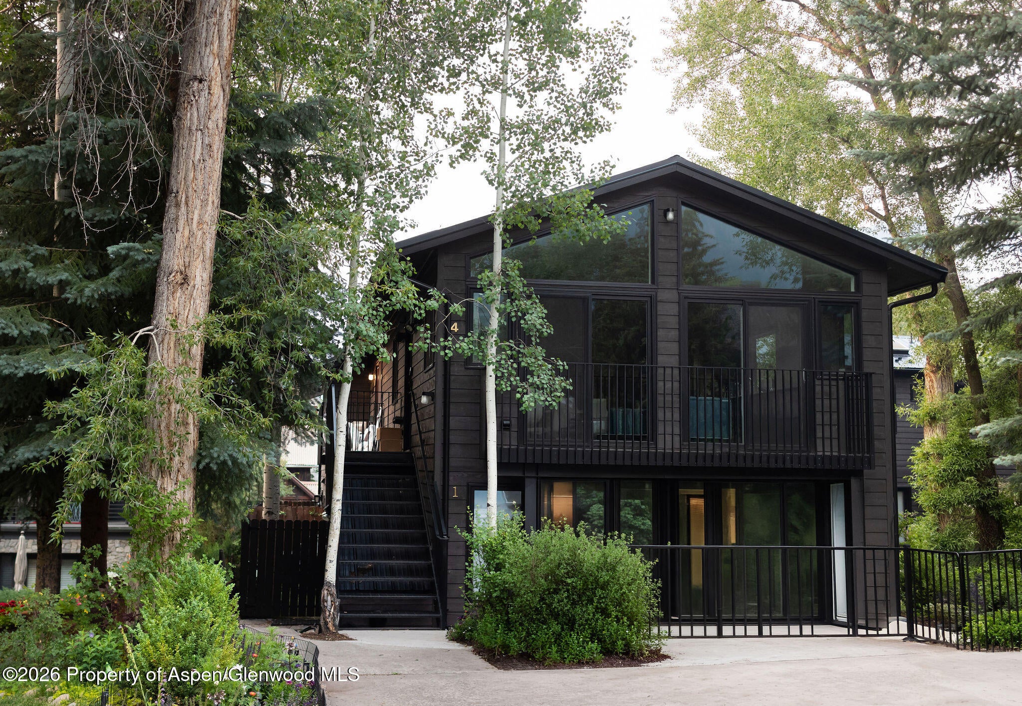Big Views of Aspen Mountain
