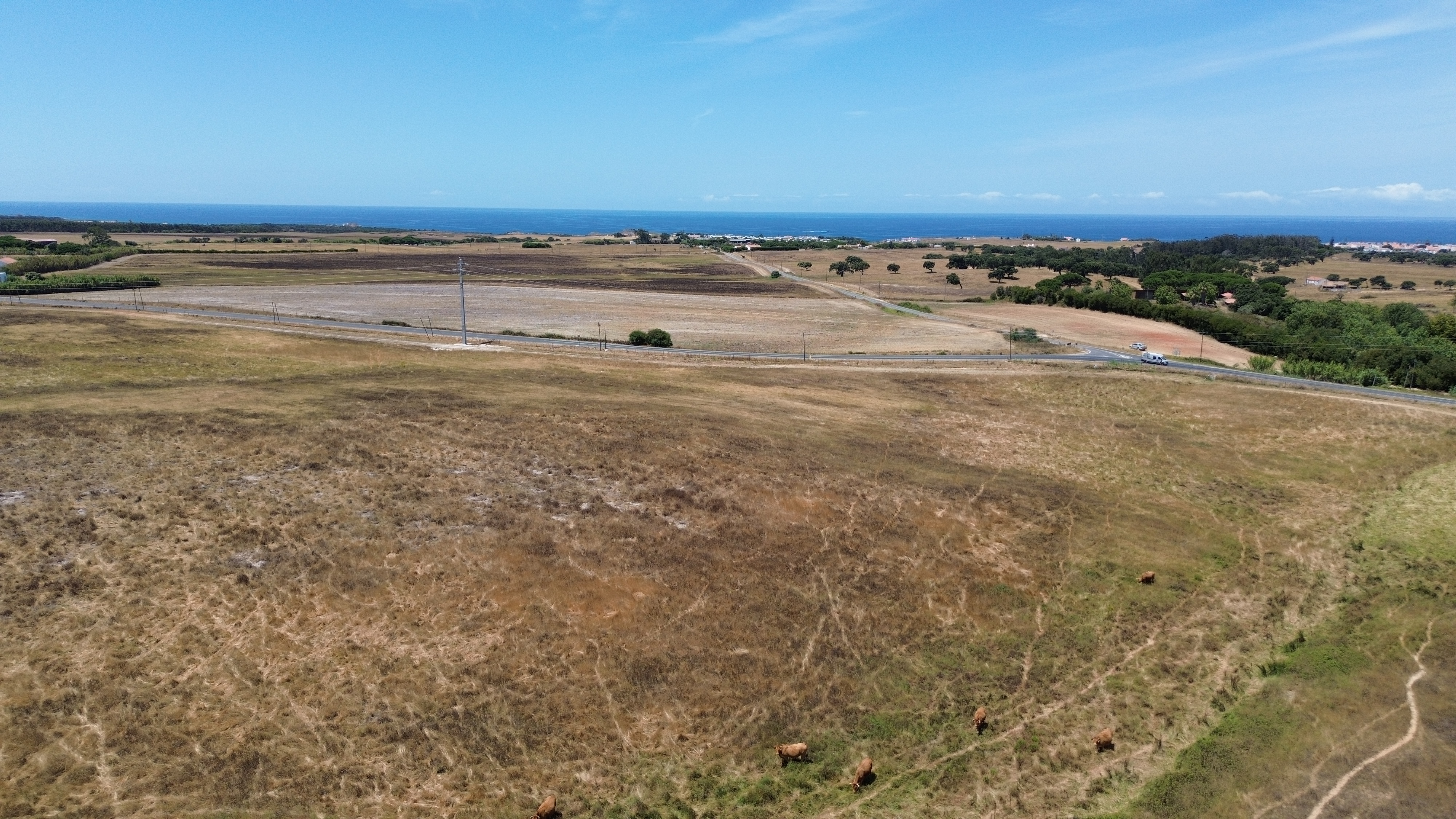 20.5-ha estate near the beach in Porto Covo
