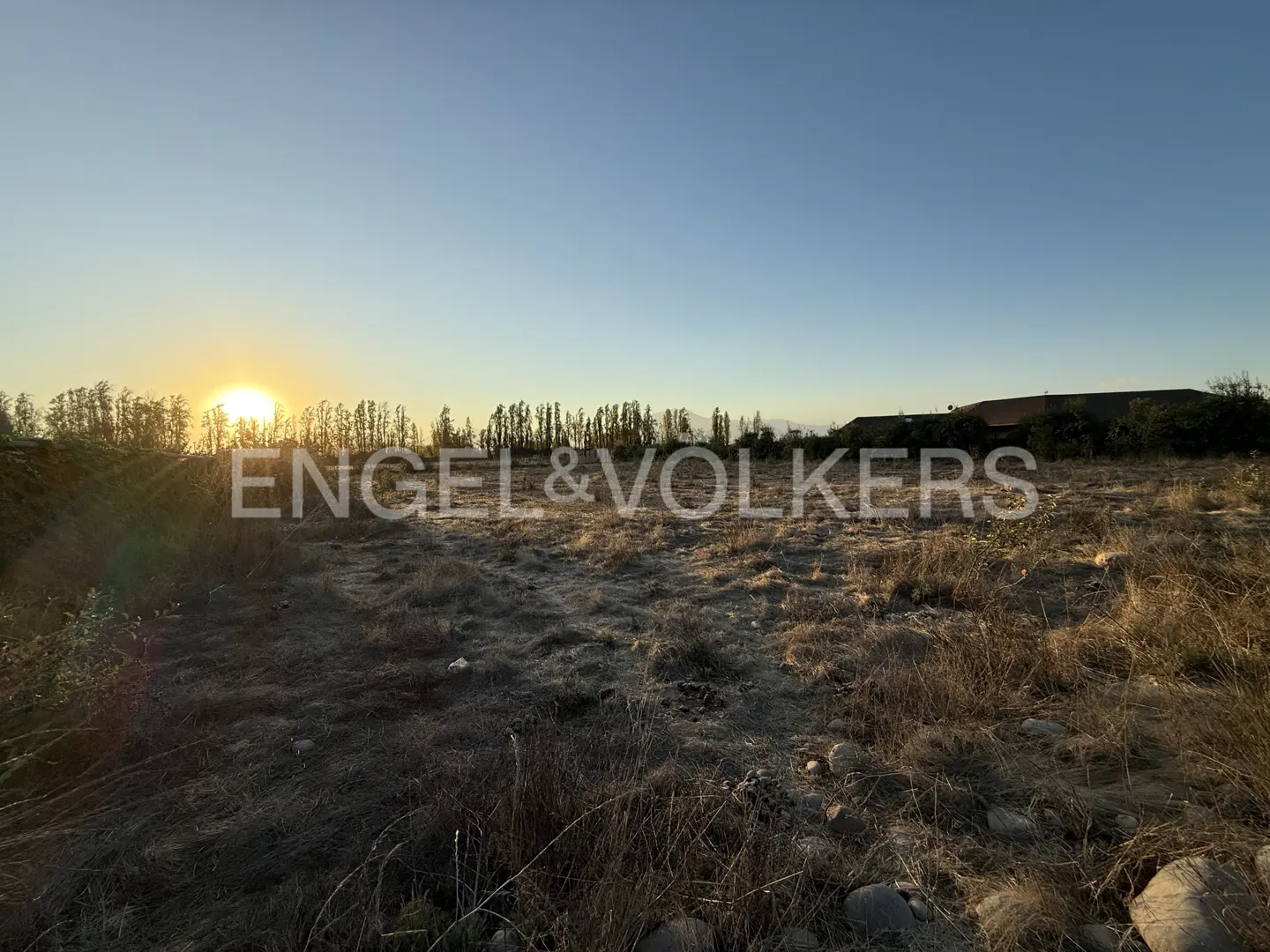 A vacant lot with dry grass under a blue sky at sunset, trees in the background.