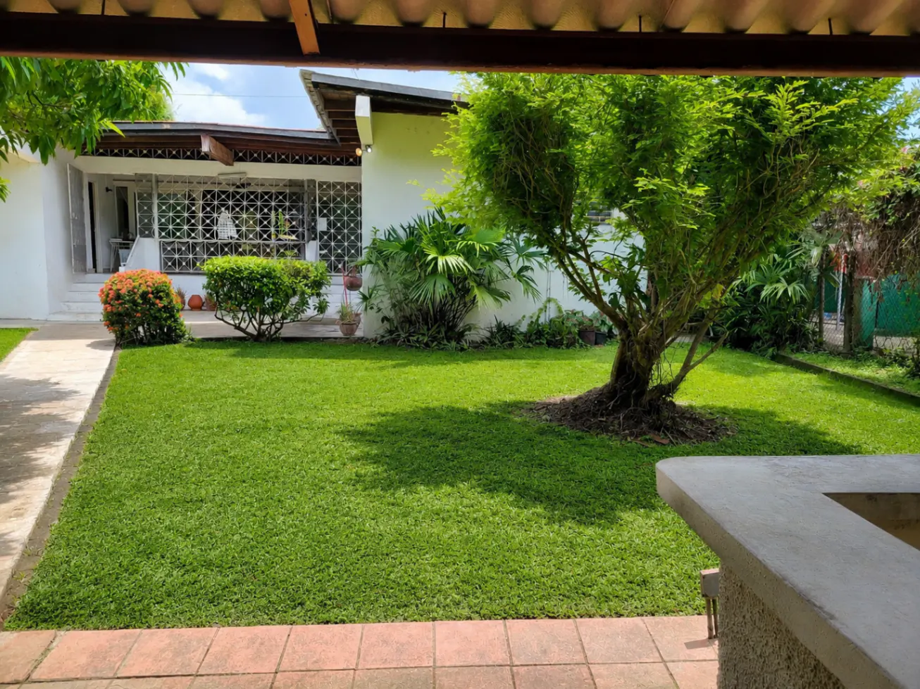 View of a lush green lawn with a white house in the background and a large tree on the right.