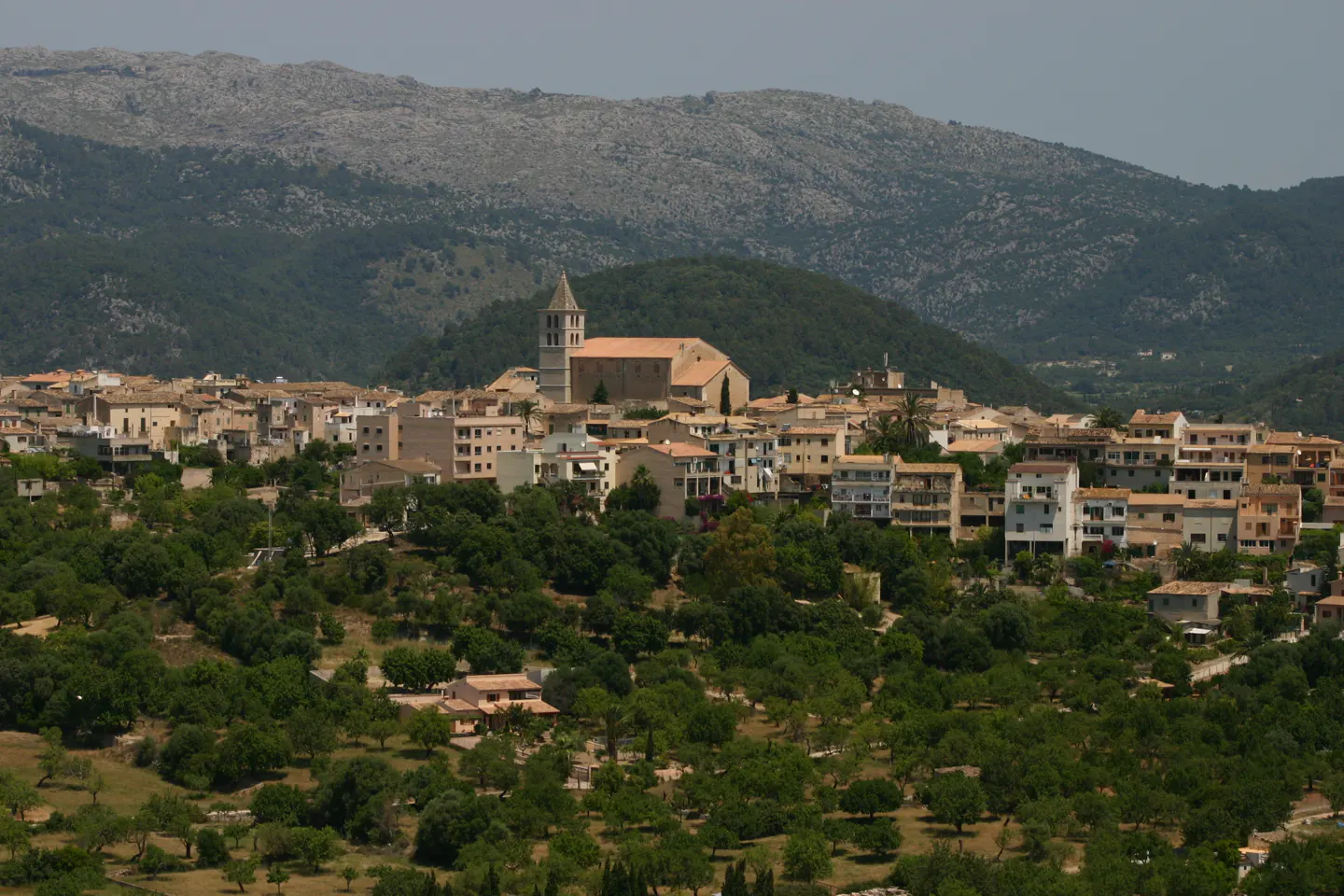 View of a hillside town with a church and mountains in the background.