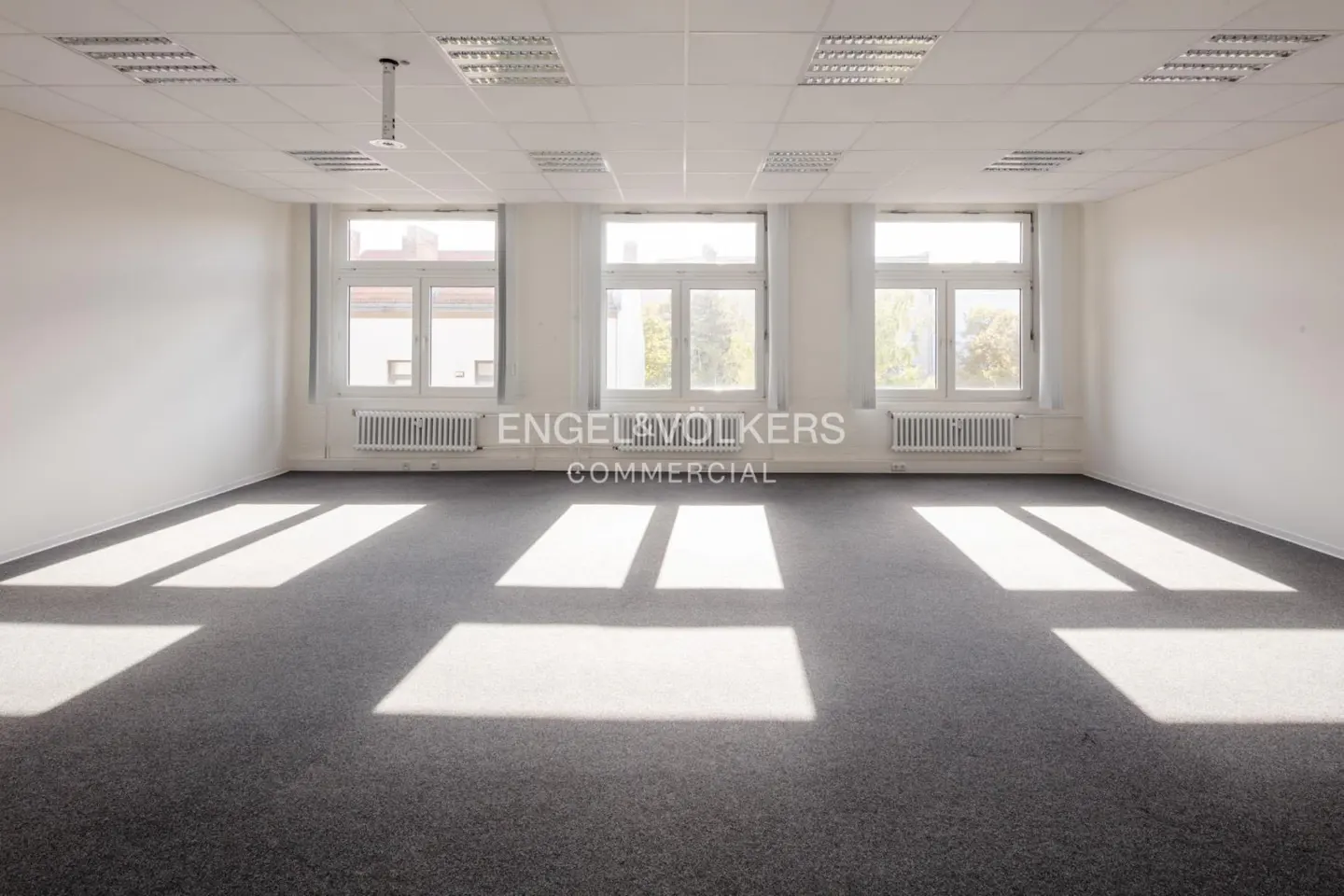 Bright, empty office space with gray carpet, white walls, and three windows. Sunlight streams in, creating shadows on the floor.