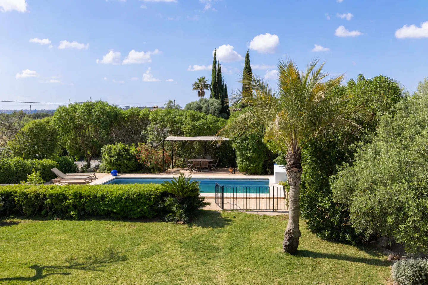 A backyard with a pool, lounge chairs, a palm tree, and green grass on a sunny day.