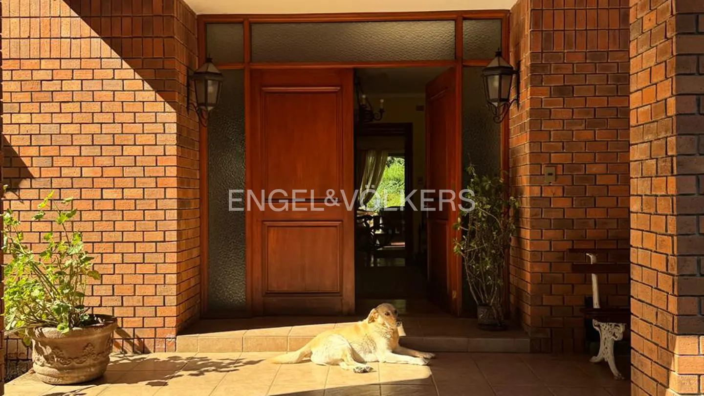 Exterior shot of a brick house with an open wooden door. A dog lies on the porch in the sunlight. Plants flank the doorway.